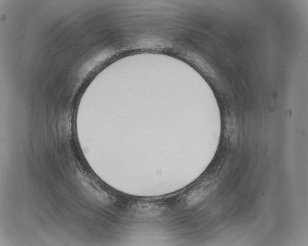 X0000081290632200701251654