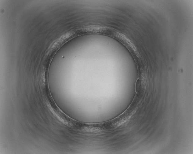 X0000081290633200701251654