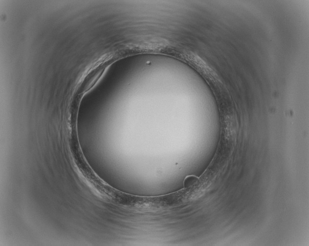 X0000081290634200701251654