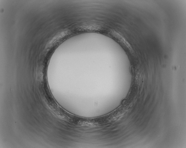 X0000081290635200701251654