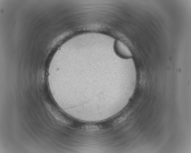 X0000081290636200701251654