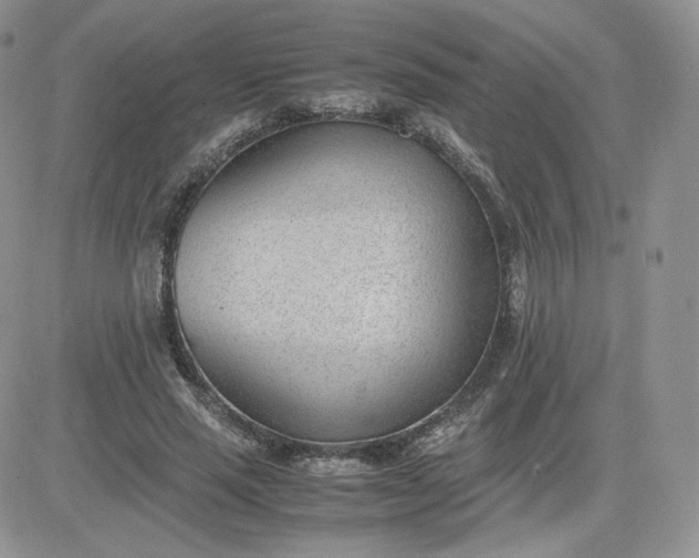 X0000081290637200701251654