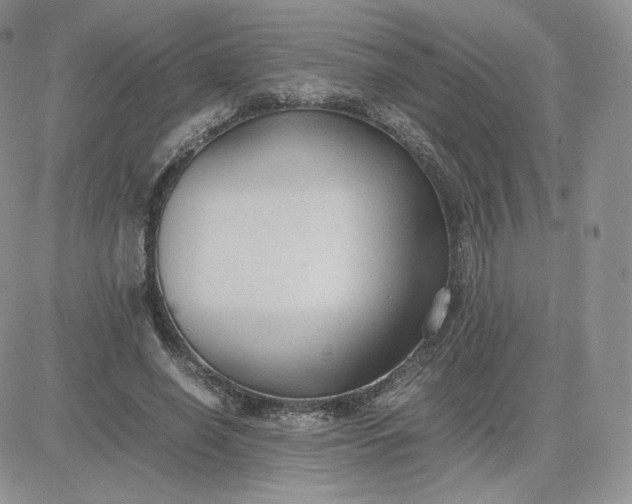 X0000081290638200701251654