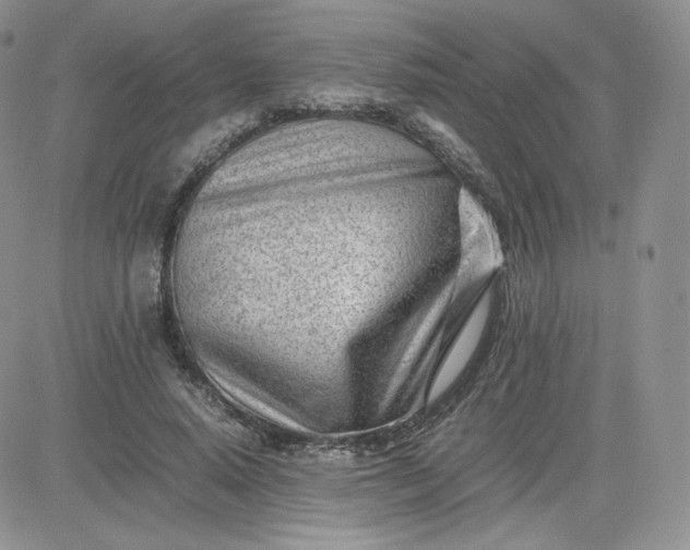 X0000081290640200701251654