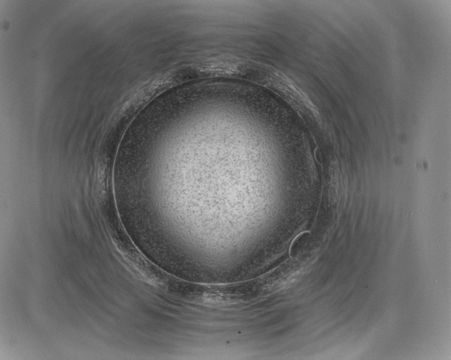 X0000081290641200701251654