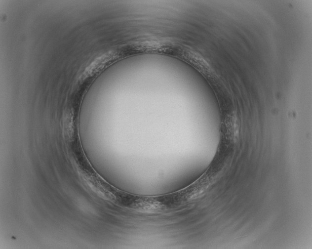 X0000081290642200701251654