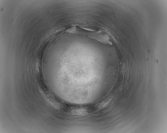 X0000081290643200701251654