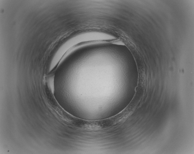 X0000081290644200701251654