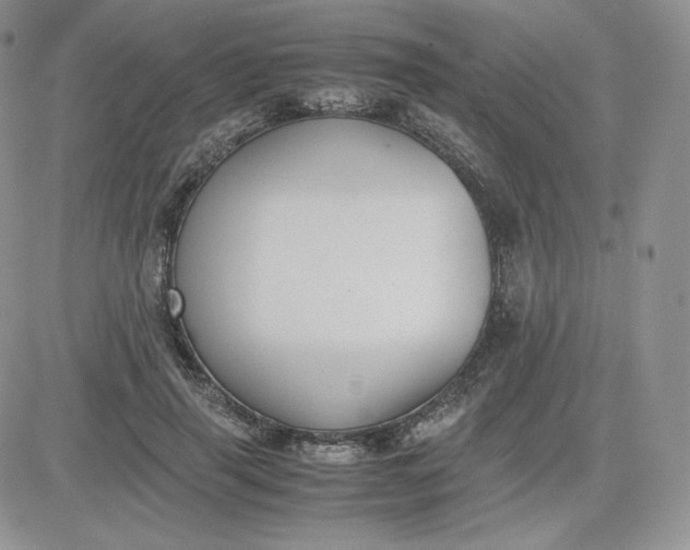 X0000081290645200701251654