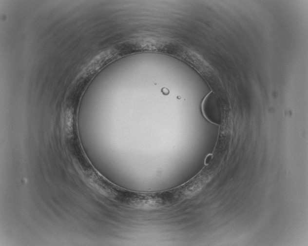 X0000081290646200701251654