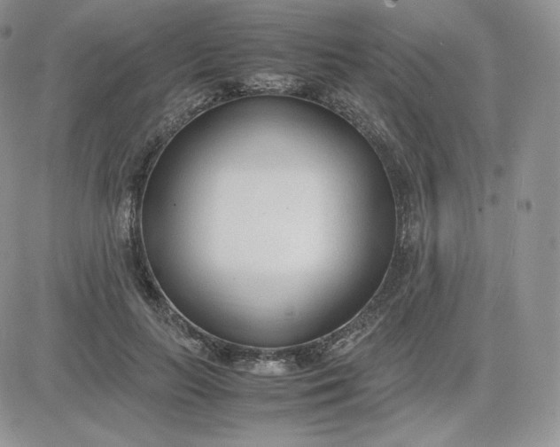 X0000081290647200701251654