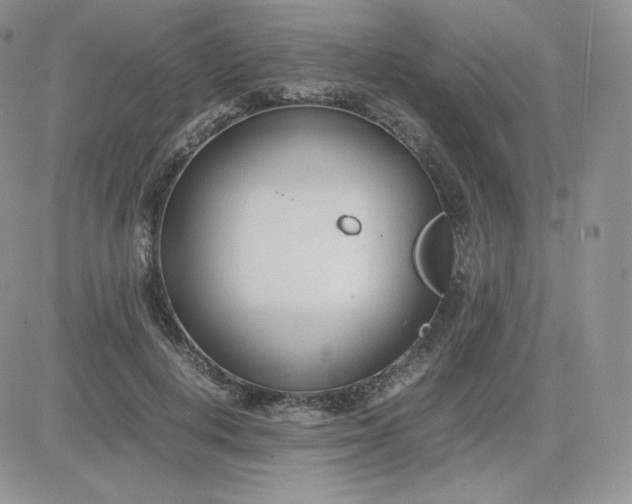 X0000081290648200701251654