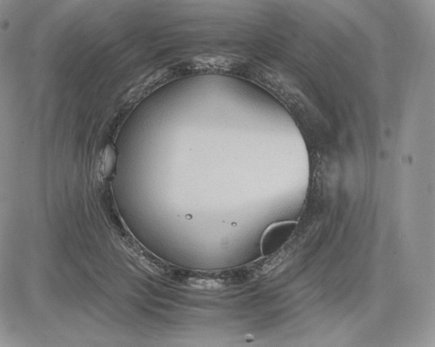 X0000081290649200701251654