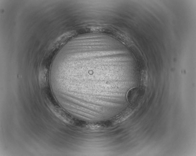 X0000081290650200701251654