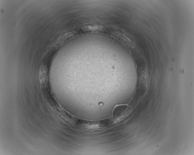 X0000081290651200701251654