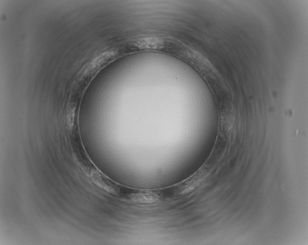 X0000081290652200701251654