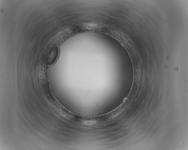 X0000081290653200701251654