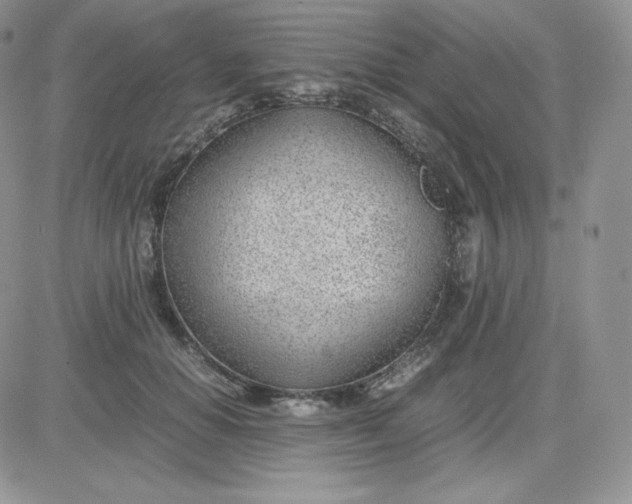 X0000081290654200701251654