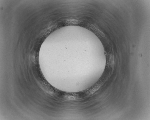 X0000081290655200701251654