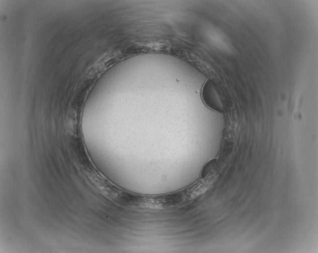 X0000081290656200701251654