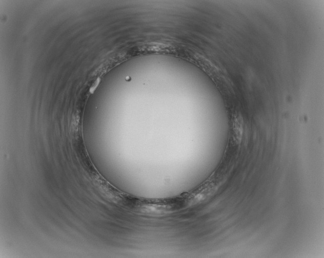 X0000081290657200701251654