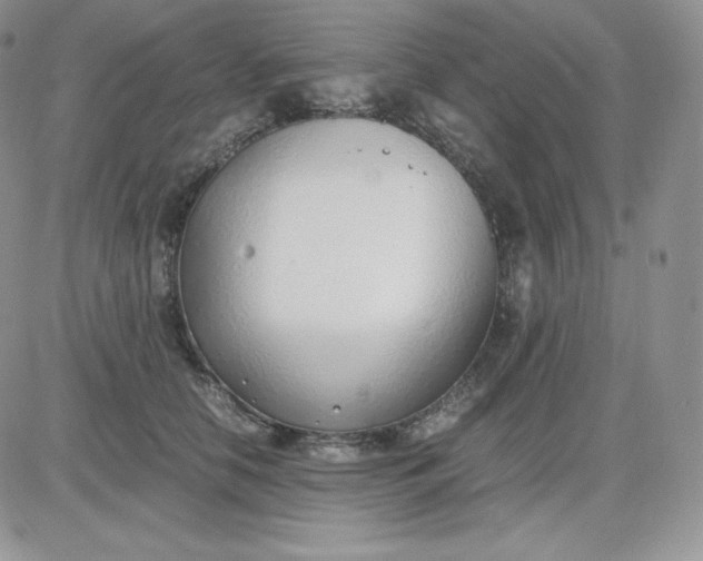 X0000081290658200701251654