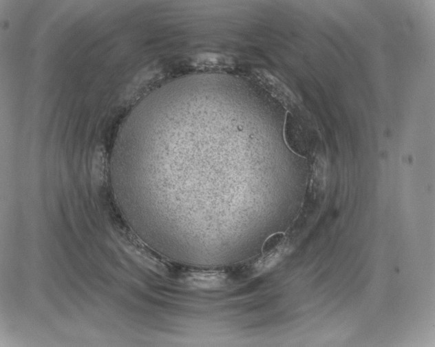 X0000081290659200701251654