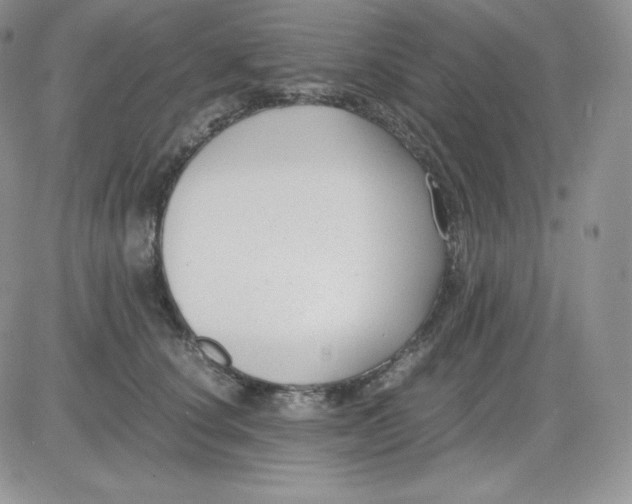 X0000081290660200701251654