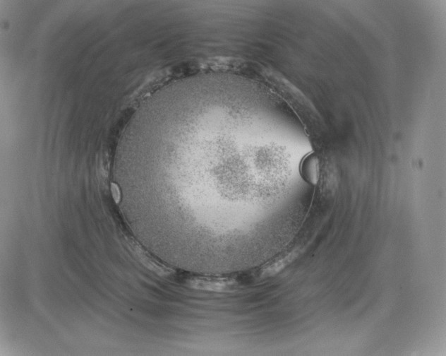 X0000081290661200701251654