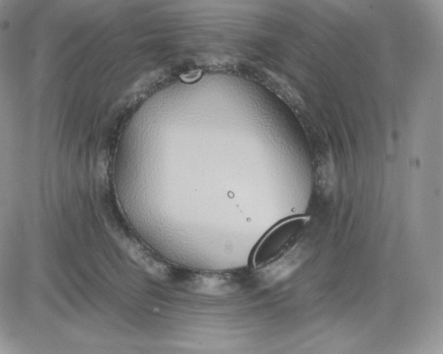 X0000081290662200701251654