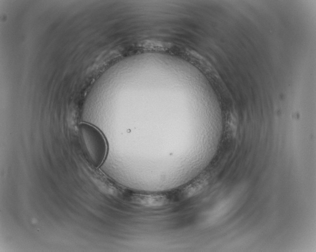 X0000081290663200701251654