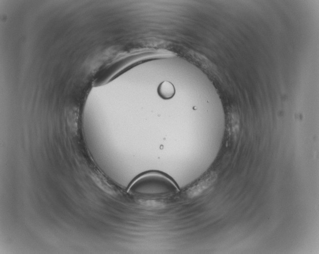 X0000081290664200701251654