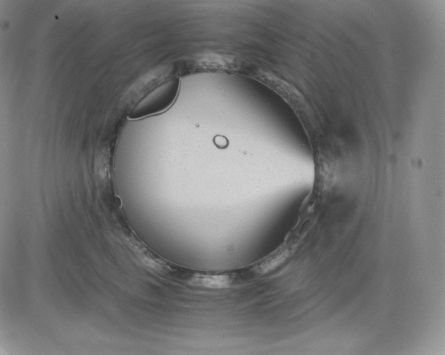 X0000081290665200701251654