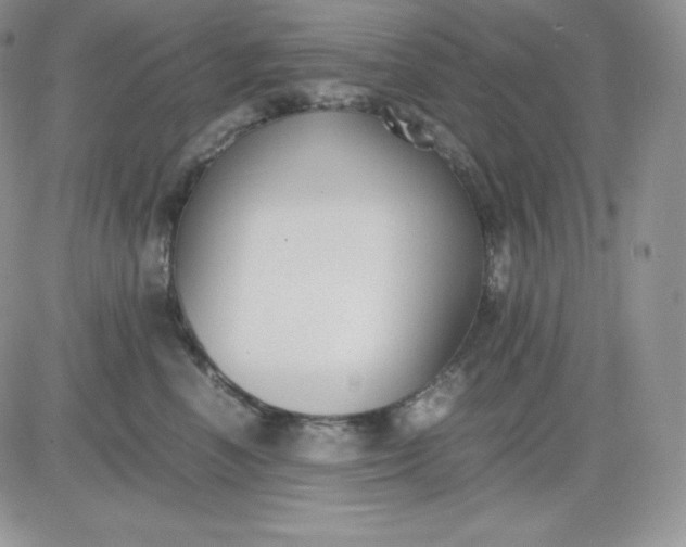 X0000081290666200701251654