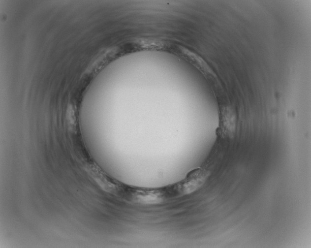 X0000081290667200701251654