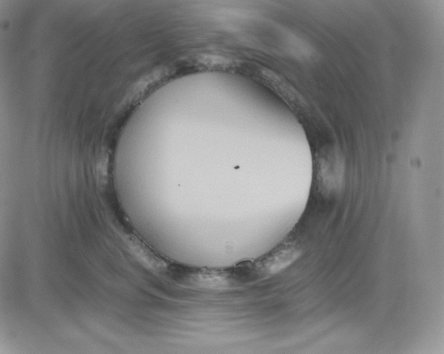 X0000081290668200701251654