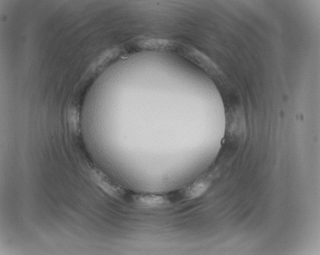 X0000081290669200701251654