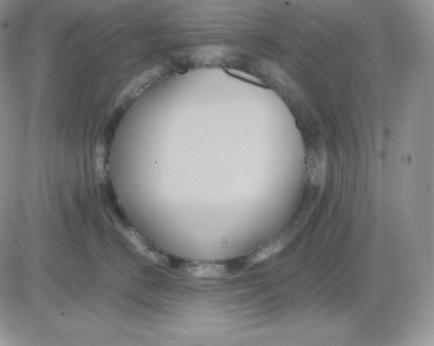 X0000081290670200701251654