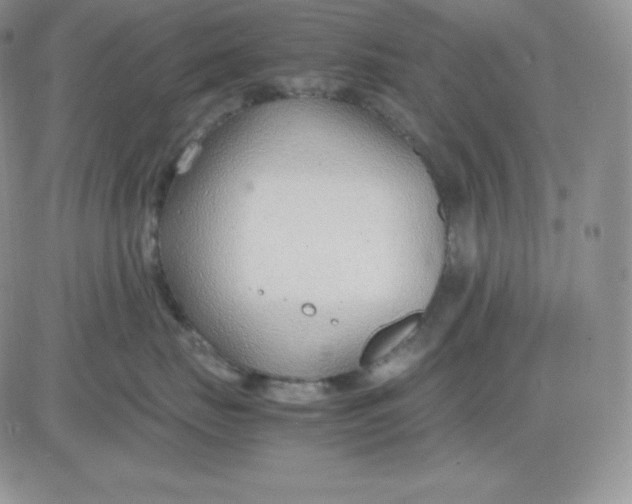 X0000081290671200701251654