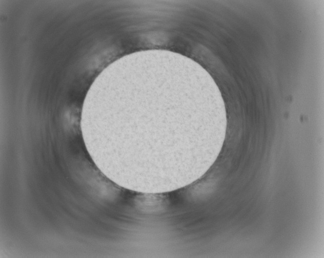 X0000081290672200701251654