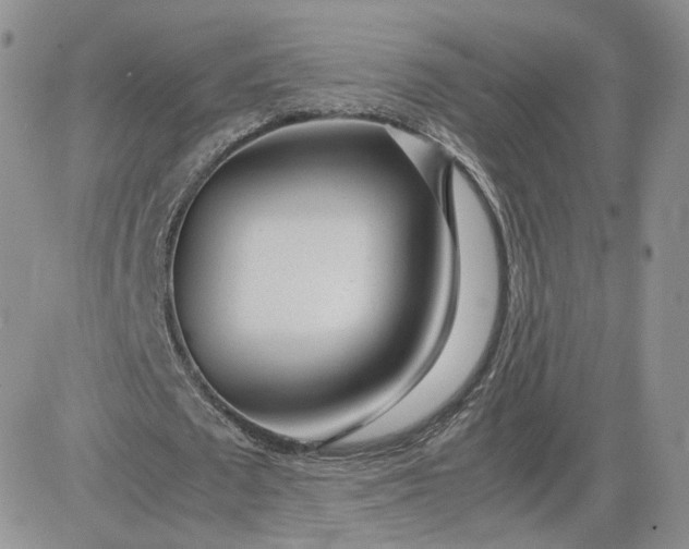 X0000081290673200701251653