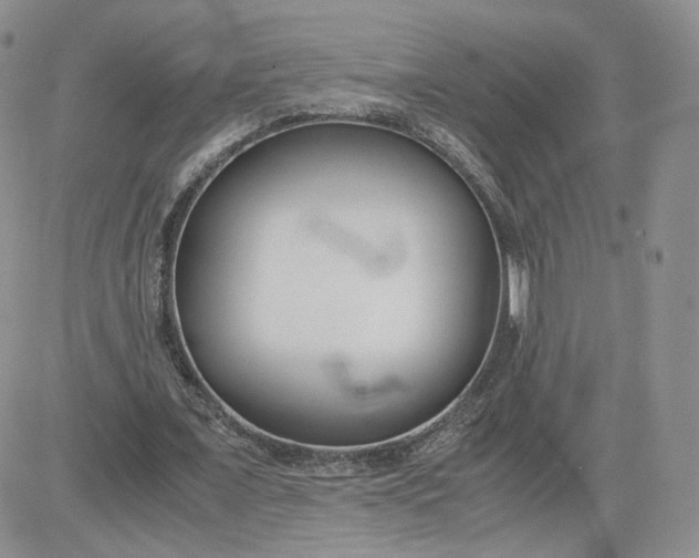 X0000081290675200701251653