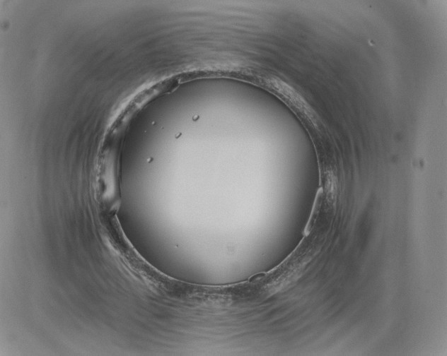 X0000081290676200701251653