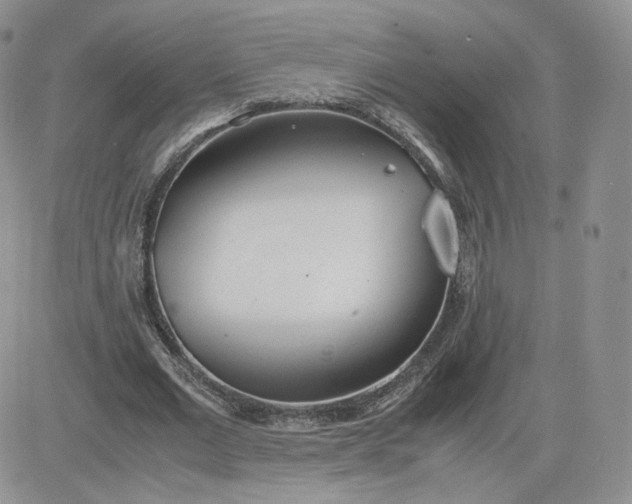 X0000081290677200701251653