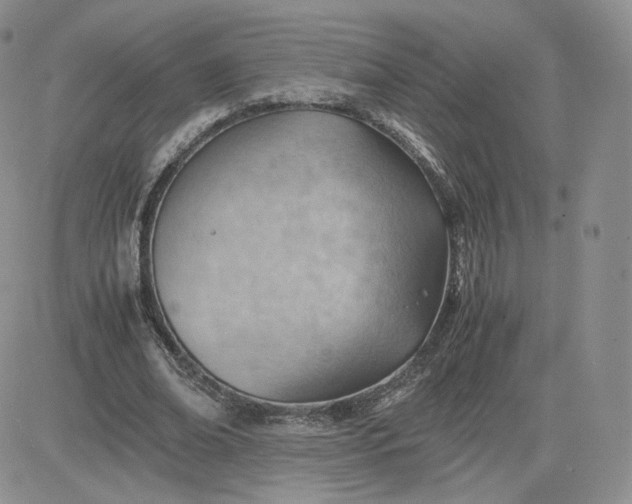 X0000081290678200701251653