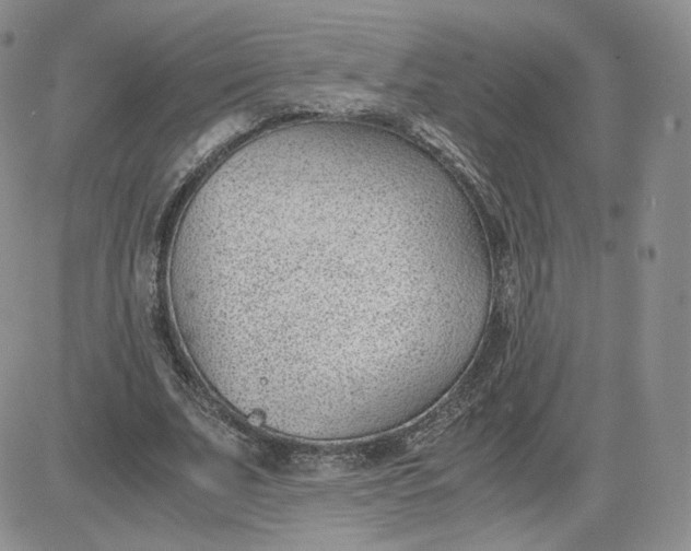 X0000081290679200701251653