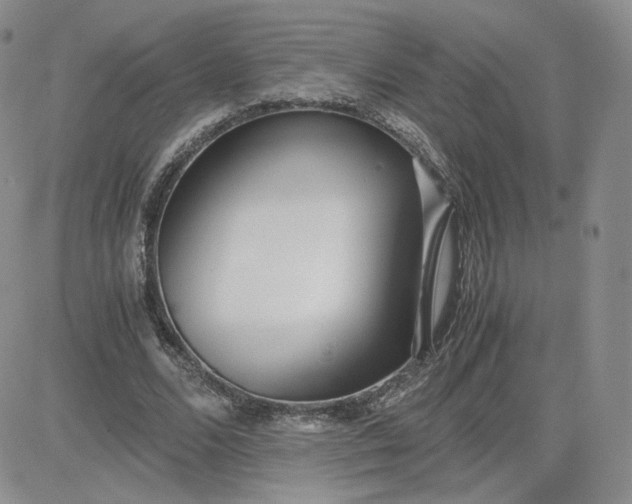 X0000081290680200701251653