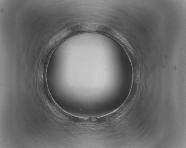 X0000081290681200701251653