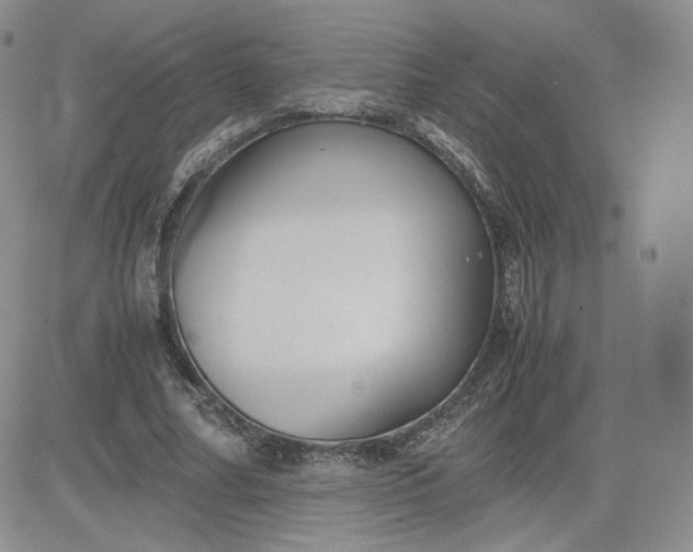 X0000081290682200701251653