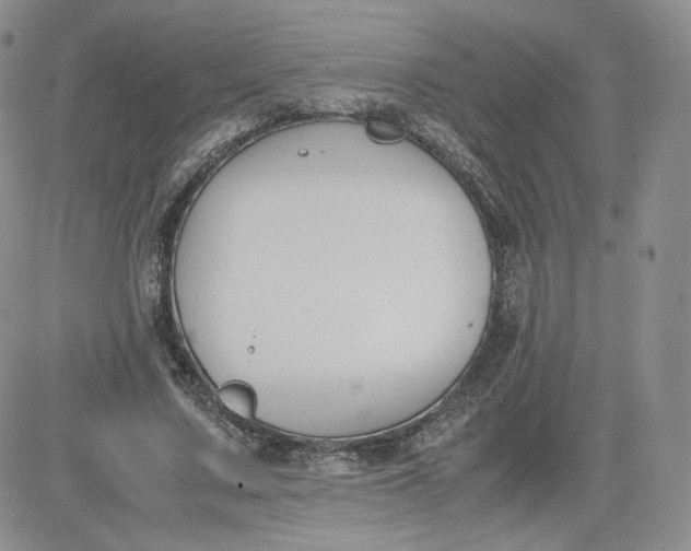 X0000081290683200701251653